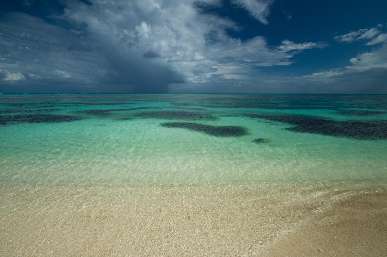 Pavoreal Beach Resort トゥルム エクステリア 写真